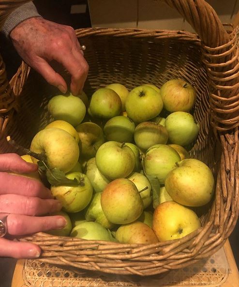 Apples price South-Lanarkshire