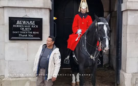 Horse Guards horse fights off annoying tourists